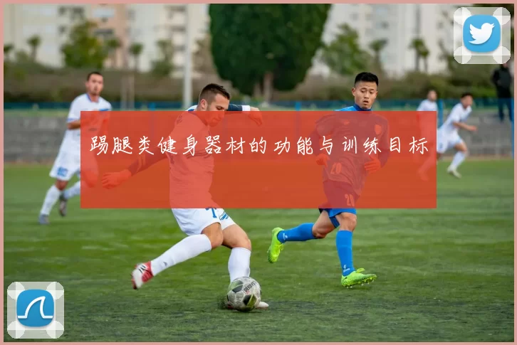 踢腿类健身器材的功能与训练目标