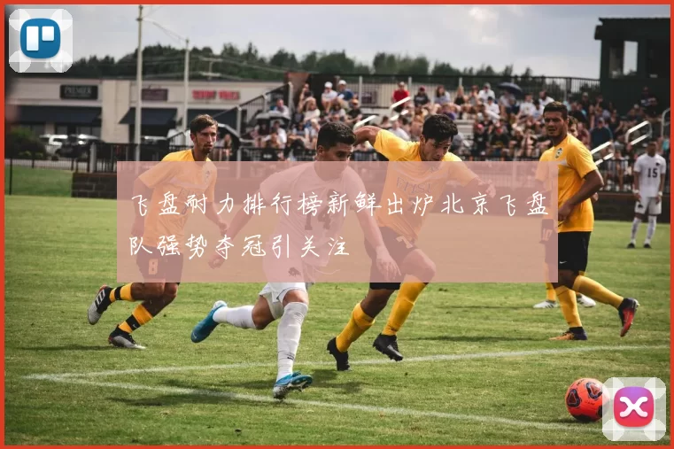 飞盘耐力排行榜新鲜出炉北京飞盘队强势夺冠引关注