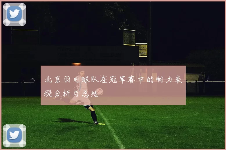 北京羽毛球队在冠军赛中的耐力表现分析与总结