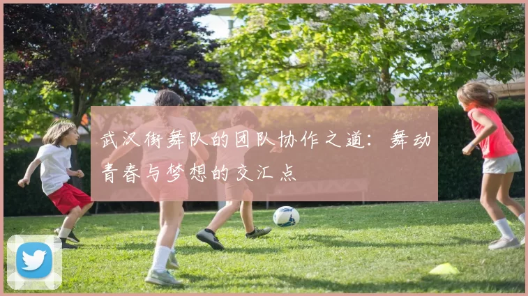 武汉街舞队的团队协作之道：舞动青春与梦想的交汇点