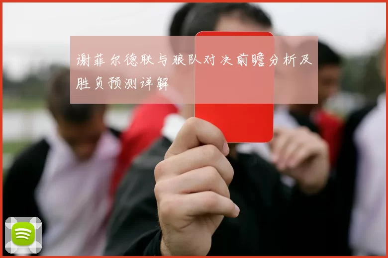 谢菲尔德联与狼队对决前瞻分析及胜负预测详解