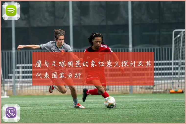 鹰与足球明星的象征意义探讨及其代表国家分析
