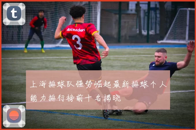 上海排球队强势崛起最新排球个人能力排行榜前十名揭晓