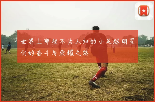 世界上那些不为人知的小足球明星们的奋斗与荣耀之路