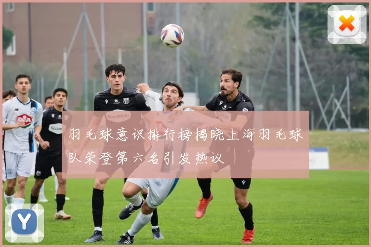 羽毛球意识排行榜揭晓上海羽毛球队荣登第六名引发热议