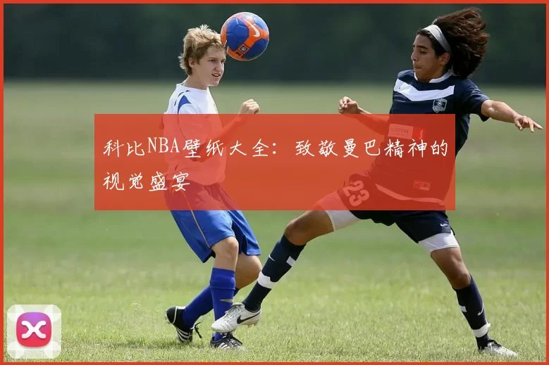 科比NBA壁纸大全：致敬曼巴精神的视觉盛宴