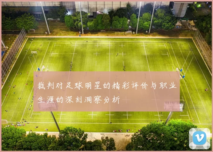 裁判对足球明星的精彩评价与职业生涯的深刻洞察分析