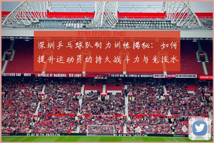 深圳乒乓球队耐力训练揭秘：如何提升运动员的持久战斗力与竞技水平