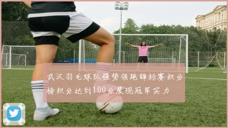 武汉羽毛球队强势领跑锦标赛积分榜积分达到100分展现冠军实力