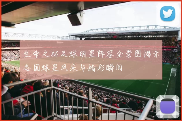 生命之杯足球明星阵容全景图揭示各国球星风采与精彩瞬间