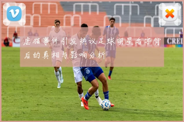 虐猫事件引发热议足球明星名字背后的真相与影响分析