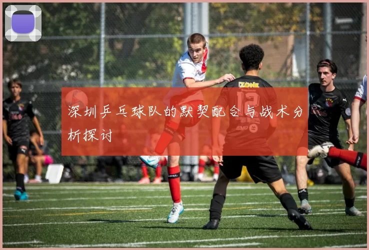 深圳乒乓球队的默契配合与战术分析探讨