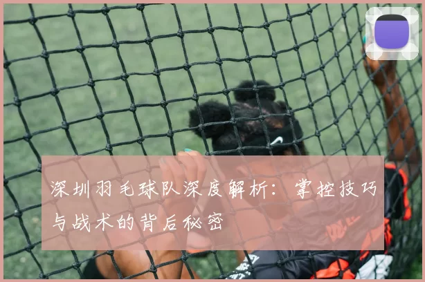 深圳羽毛球队深度解析：掌控技巧与战术的背后秘密