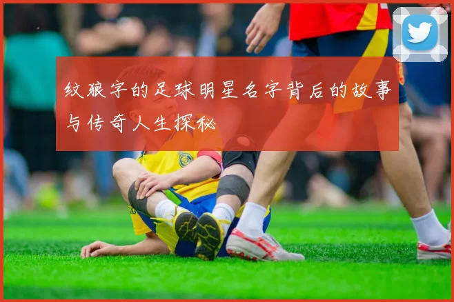 纹狼字的足球明星名字背后的故事与传奇人生探秘