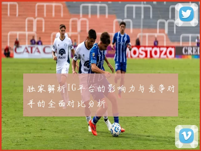 独家解析IG平台的影响力与竞争对手的全面对比分析